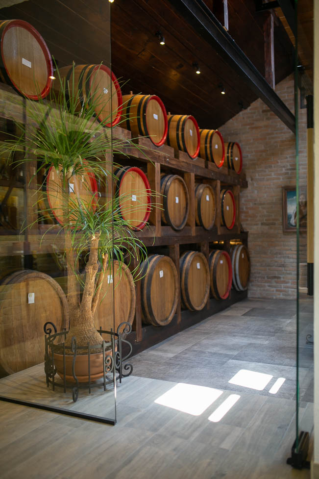 Дестилерија, Primavera studio