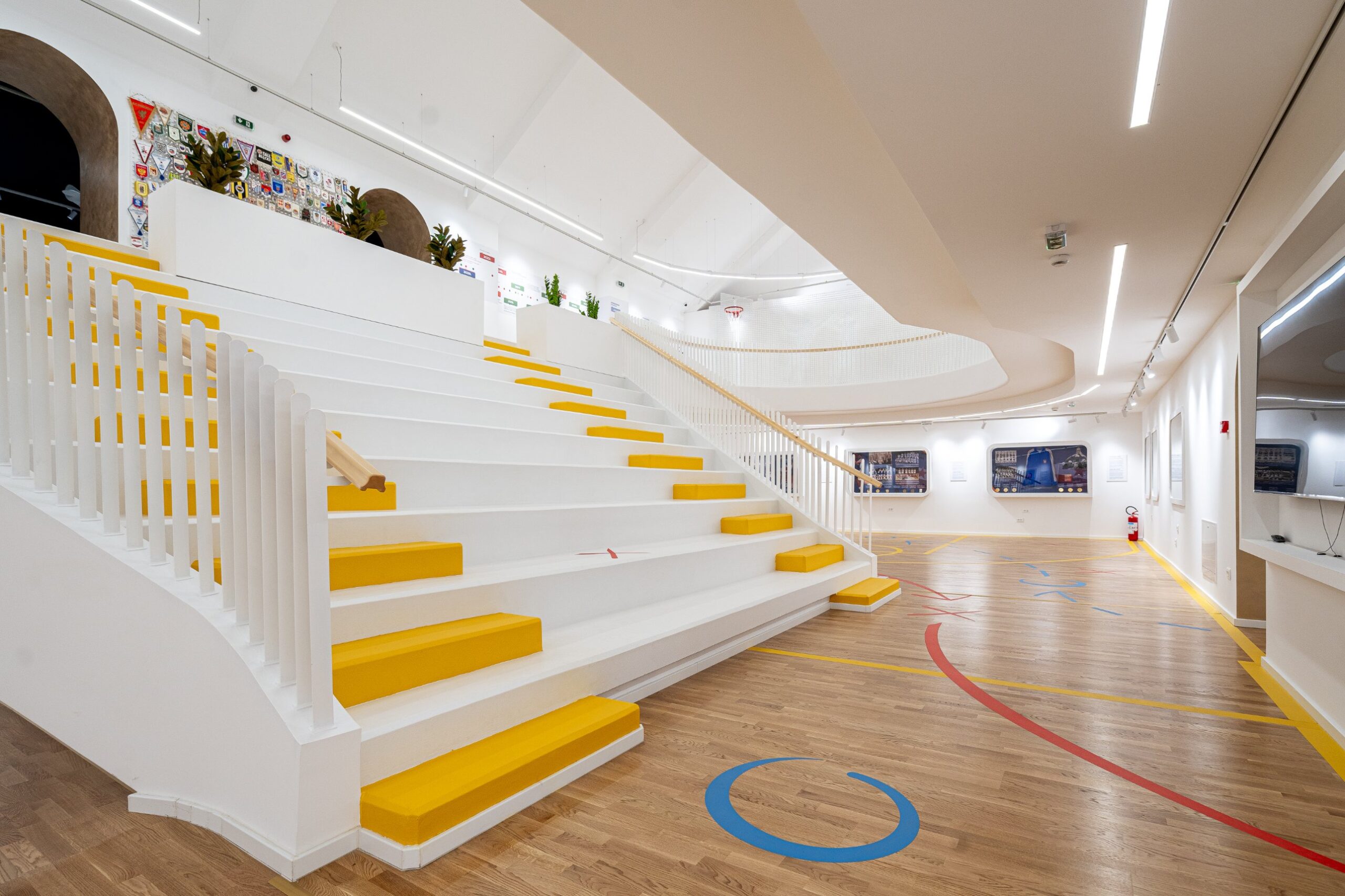 Музеј кошарке, Primavera studio