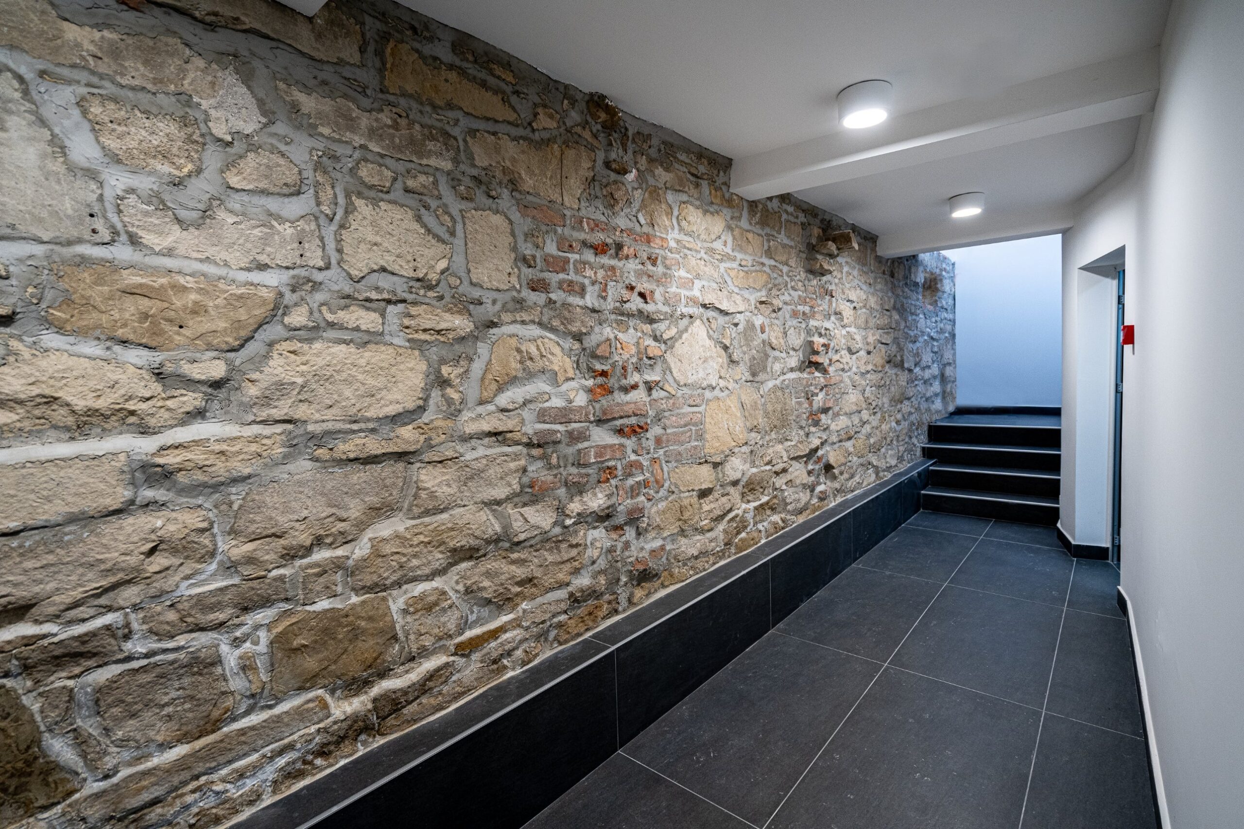 Музеј кошарке, Primavera studio